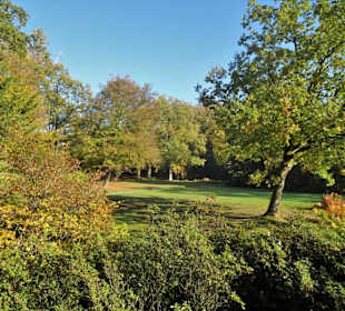 Herbstspaziergang durch den Schlosspark Lütetsburg