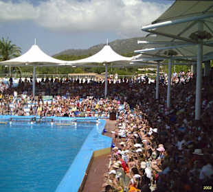 Publikum bei der Delfinschow