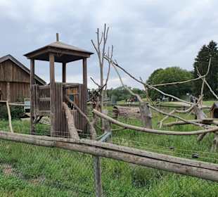 Hochwildschutzpark Rheinböllen