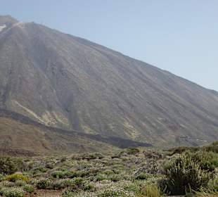 Nationalpark --> Teide
