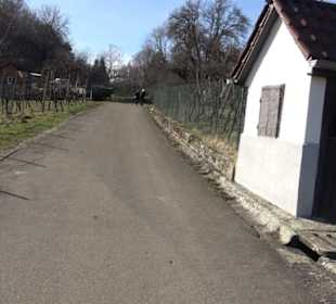 Weinerlebnisweg