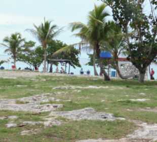 Geschichtlich villeicht von Interesse