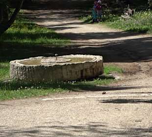 Stadtführung Nördlingen