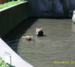 Tierpark Hagenbeck