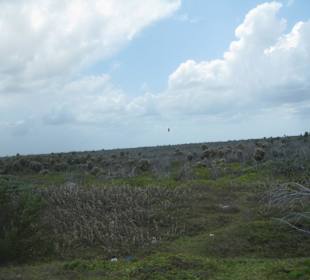 Landschaft im Norden der Insel