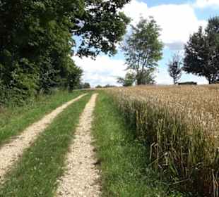 Aussichtspunkt Hohenneuffen-Blick