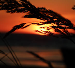 Sonnenuntergang am Kap Kolka