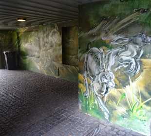 Altstadt Schwäbisch Hall