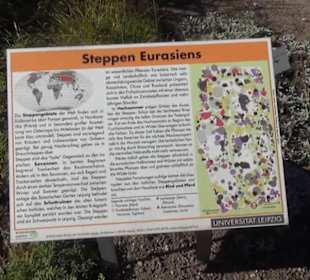 Botanischer Garten 