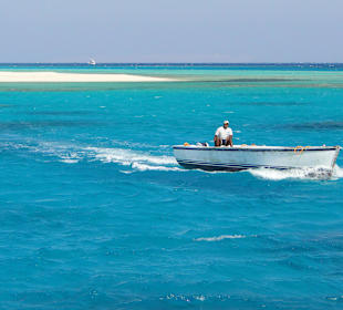 Das ist doch mal ein Anblick