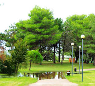Lido dei Pini in Bibione