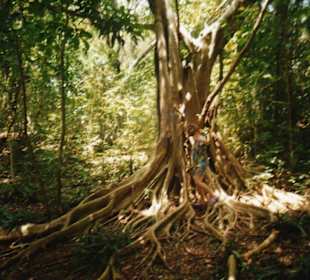 Ausflug-Cayo-Leventado
