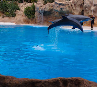 Loro Parque 
