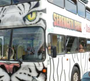 Durchfahrt Serengetipark