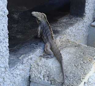 Einwohner beim Playa Sirena