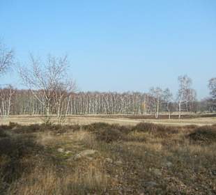 Wunderschöne Boberger Niederung