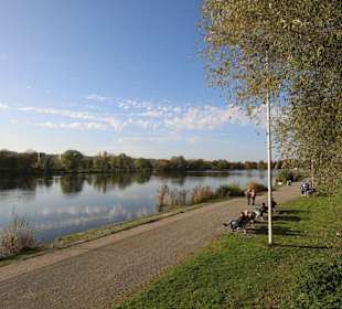 Promenade am Hohnsensee Hildesheim