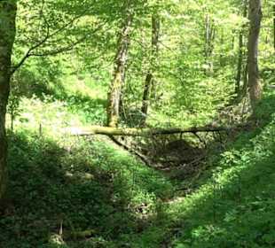 Magolsheimer Buchtalweg