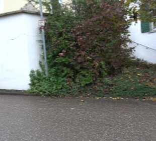 Katholische Pfarrkirche St. Otmar Elchingen