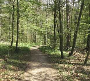 Wanderweg Hochgehwachsen