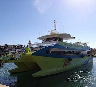 Stadtrundgang Cales de Mallorca / Calas de Mallorca
