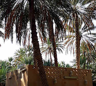 Al Ain Oase