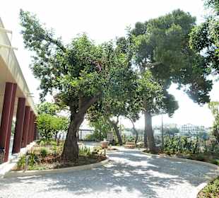 Крит, Ираклион