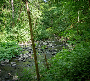 Wandern Winnen