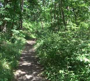 Schutzgebiet Spitzberg, Pfaffenberg