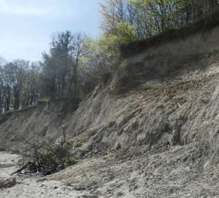 Bei unserer Wanderung an der Brodtener Steilküste