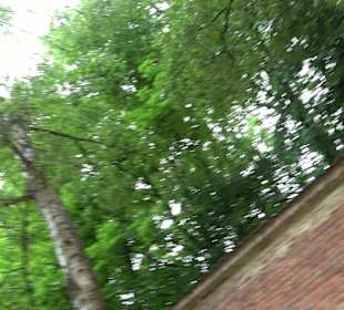 Baumlehrpfad Glacis Park