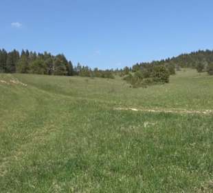 Premiumwanderweg Hochgehschätzt