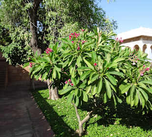 Alles ist sehr grün