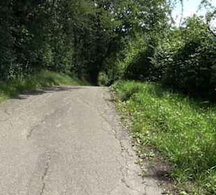 HAP Grieshaber Rundweg