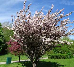 Eindrücke aus dem Walter-Peters-Park