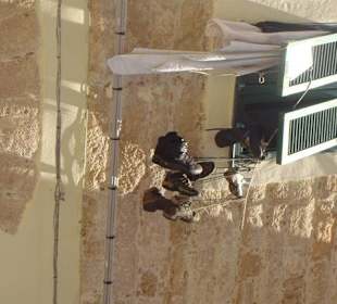 Вид одного окна