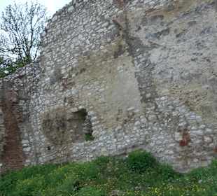 Ruine Burg Kaltenburg