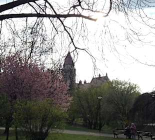 Park Stanisława Tołpy