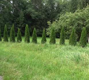 Themenweg Kaiserweg Zimmern