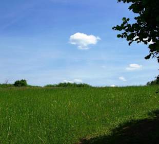 Wanderung zum Bärenfels