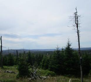  HSB Harzer Schmalspurbahnen