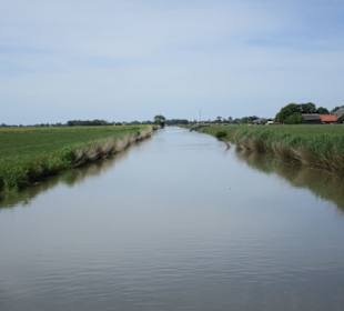 Stollhammerwisch Graben