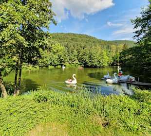 Kurpfalz-Park - Tretboot