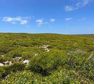 Flinders Chase National Park
