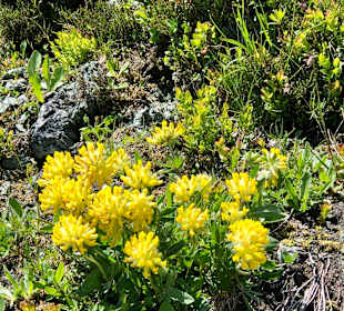 Wandern Bad Hofgastein
