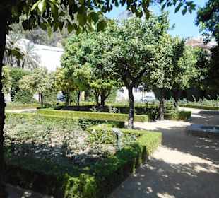 Jardines de Pedro Luis Alonso