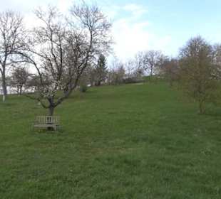 Der Grafenberg