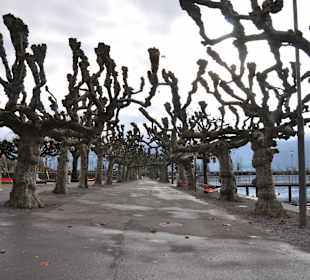 Виды города