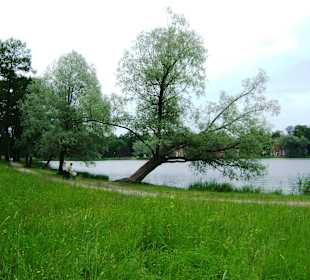 Park Katarzyny