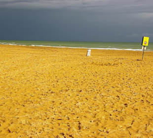 Freier Strandbereich ohne Hund